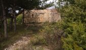 Excursión Senderismo Fontienne - Le vallon de  l'eau salée à Fontienne - Photo 3