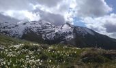 Trail On foot Oltre il Colle - IT-221 - Photo 1