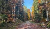 Trail  Corrençon-en-Vercors - Col de château Julien  - Photo 16