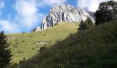 Tocht Stappen La Chapelle-d'Abondance - pas de la bosse - Photo 11