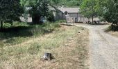 Tocht Stappen Val-d'Aigoual - 4000 marches-14-06-22 - Photo 9