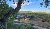 Excursión Senderismo Pignans - Balade dans les Maures - Photo 10