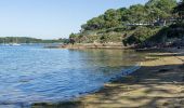 Excursión Senderismo Larmor-Baden - De la plage du Berchis au village de Mériadec en aller-retour - Photo 2