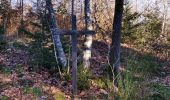 Randonnée Marche Stoumont - Promenade au départ de Moulin du Ruy  - Photo 7