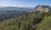 Trail Walking Évenos - Tour du Baou RBon - Photo 17