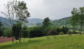 Tour Wandern Plainfaing - plainfaing auvernelles - Photo 4