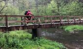 Tocht Mountainbike Libin - Redu - Variante du Parcours VTT de la Haute Lesse - Photo 2