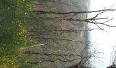 Trail Walking Houffalize - Nadrin FR - Photo 3