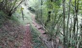 Trail Walking Ferrières - FERRIERES  la mine de Baburet   295 0542 - Photo 4