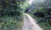 Trail Walking Guînes - forêt 🐿 Guînes 11 08 2022 - Photo 1