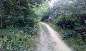 Tour Wandern Guînes - forêt 🐿 Guînes 11 08 2022 - Photo 1