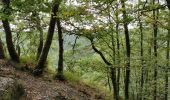 Trail Walking Bouillon - Poupehan_Rochehaut_Frahan_Poupzhan - Photo 17