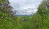 Tour Wandern Esneux - athénée . ham . ferme l'oneux . roche aux faucons . rosière . esneux  - Photo 13