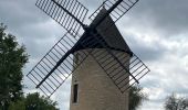 Trail Road bike Santenay - Boucle Santenay dans les vignes - Photo 2