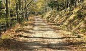 Randonnée Marche Pélussin - boucle de la croix de Montvert  - Photo 1
