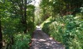 Trail Walking Lavigerie - Cantal - La Gravière - La Vallée de l'Impradine - 6km 170m 2h20 - 2019 07 03 - Photo 4