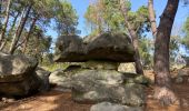 Excursión Senderismo Fontainebleau - Croix de Toulouse  - Photo 5