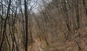 Trail Walking Durbuy - trek GR57 étape 5 : Bomal-sur-Ourthe - Weris - Photo 16