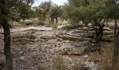 Tocht Noords wandelen Montpeyroux - Font du Griffe Mont St Baudille Mars 2022 - Photo 1