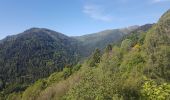 Tour Wandern Mittlach - Lac d'Altenweiher - Photo 3