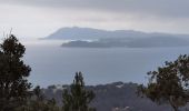 Tour Wandern Le Pradet - le Pradet la Garonne-fort de la Gavaresse - Photo 1