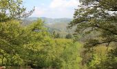 Percorso A piedi Schriesheim - Rundwanderweg Großer Stein 3: Um den Wendenkopf - Photo 2