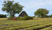 Tocht Stappen Saignon - Saignon - Circuit des Bories - Photo 4