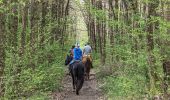 Trail Horseback riding Westhoffen - 2023-04-23 Picnic CVA La Mercière depuis Westhoffen - Photo 2