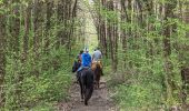 Tour Reiten Westhofen im Elsass - 2023-04-23 Picnic CVA La Mercière depuis Westhoffen - Photo 2