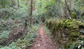 Tour Wandern Vitrac - Vitrac, Périgord, journée un - Photo 3