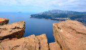 Randonnée Marche Cassis - Cassis - La couronne de Charlemagne - Cap canaille - Photo 10