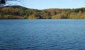 Percorso A piedi Sconosciuto - Castlewellan Forest Park - Cypress Pond Walk - Photo 3