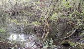 Trail Walking Crouy-sur-Ourcq - Marais de Negando et le Clignon depuis Crouy sur Ourcq - Photo 3