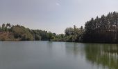 Randonnée Marche Waimes - tour du lac, pont - barrage - pont  - Photo 13