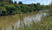 Tour Wandern Mées - Circuit des Barthes Neuves Mées le 8juin 2019 - Photo 4