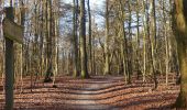 Tour Zu Fuß Eutin - Dodauer Forst-Route - Kurz - Photo 10