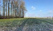Randonnée Marche Denderleeuw - Liedekerke Denderleeuw 14,7 km - Photo 4