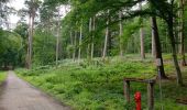 Excursión Senderismo Uccle - Ukkel - 2020-07-09 - Banc d'essai pour enregistrer un circuit dans la forêt de Soignes sur EasyJet Trail  20 jm - Photo 5