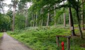 Tocht Stappen Ukkel - 2020-07-09 - Banc d'essai pour enregistrer un circuit dans la forêt de Soignes sur EasyJet Trail  20 jm - Photo 5