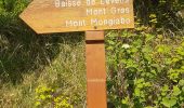 Randonnée Marche Breil-sur-Roya - col de brouis - Photo 9