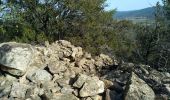 Tocht Stappen Solliès-Pont - Lac de Montbel - Photo 3