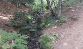 Trail Walking Chambon-sur-Lac - super bess - Photo 1