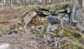 Tour Zu Fuß Geesthacht - Düneberger Sandberge, Rundweg 5 km - Photo 4