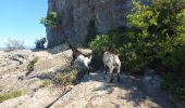 Trail Walking Mornas - Bornas à Saint baudille - Photo 5