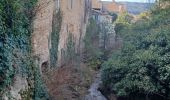 Tour Wandern Volonne - VOLONNE . AU FIL DE L EAU N - Photo 10