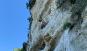 Trail Walking Peyzac-le-Moustier - Sensei24. Roque saint christophe  - Photo 16