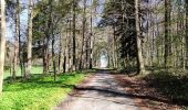 Trail Walking Clavier - La promenade du Magnifique Hoyoux  - Photo 14