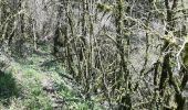 Excursión Senderismo Édon - La randonnée du château de Larochebeaucourt et de l'arche de la vertue  - Photo 6