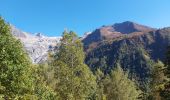 Tocht Stappen Chamonix-Mont-Blanc - 20231011 Montroc Le Tour - Photo 1