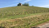 Tocht Noords wandelen Saint-Gengoux-le-National - Saint gengoux le national  - Photo 1